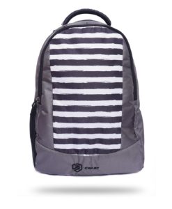 Zwart FAZER-STRIPED 25 L Casual/Laptop Backpack (Multicolor)