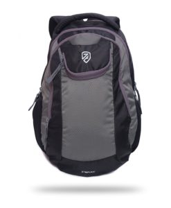 Zwart MOSCO 25 L Free Size Backpack (GREY)