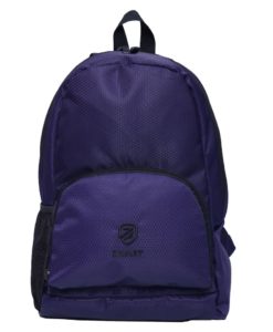 Zwart Savvy 15 L Backpack (PURPLE)